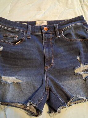 Universal Thread Shorts Size 8 High Rise Midi